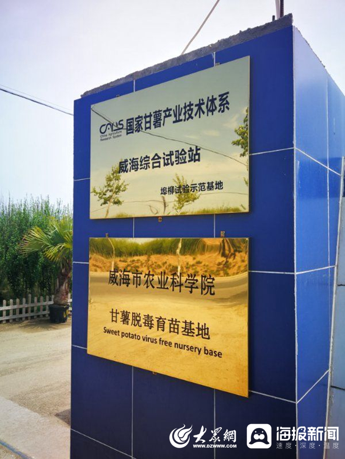 信息化賦能扶貧攻堅(jiān)，激活鄉(xiāng)村振興新引擎