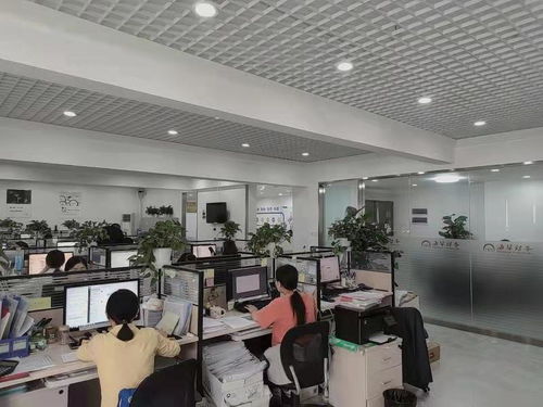 都江堰市與新津縣 工商注冊與個人商務服務全攻略